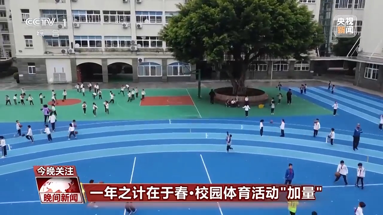 训练计划